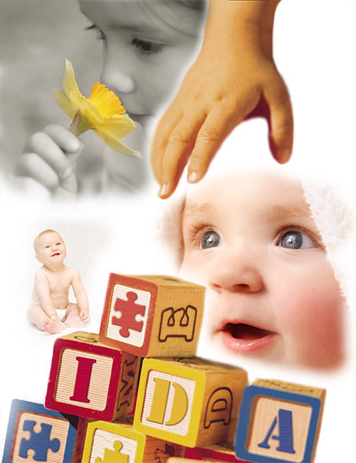 IDA Institute Home of the Infant Toddler Developmental Assessment – The ...